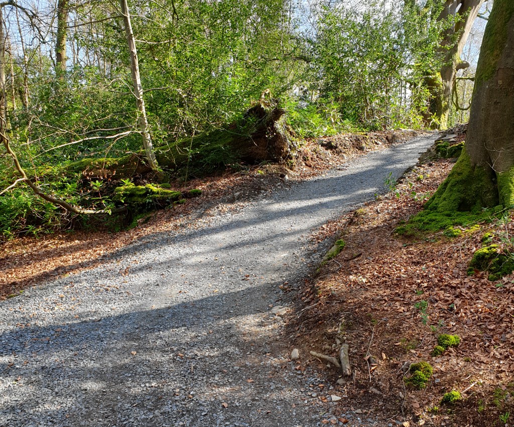 Blessed are the&nbsp;meek