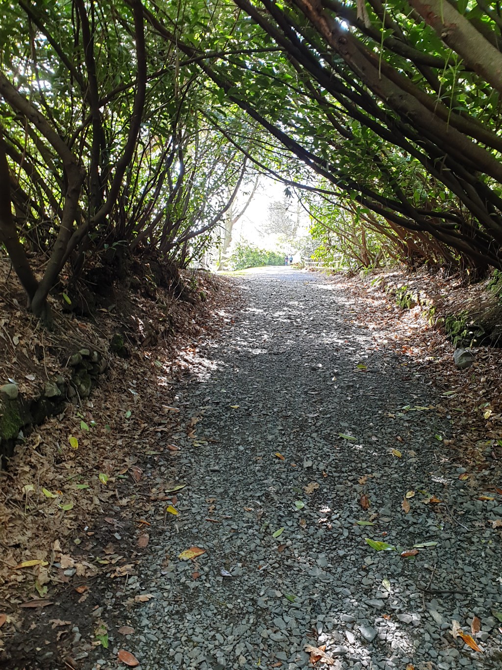 Blessed are those who&nbsp;mourn