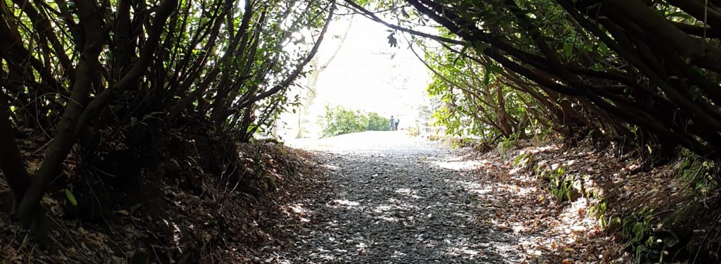 My King is&nbsp;Coming