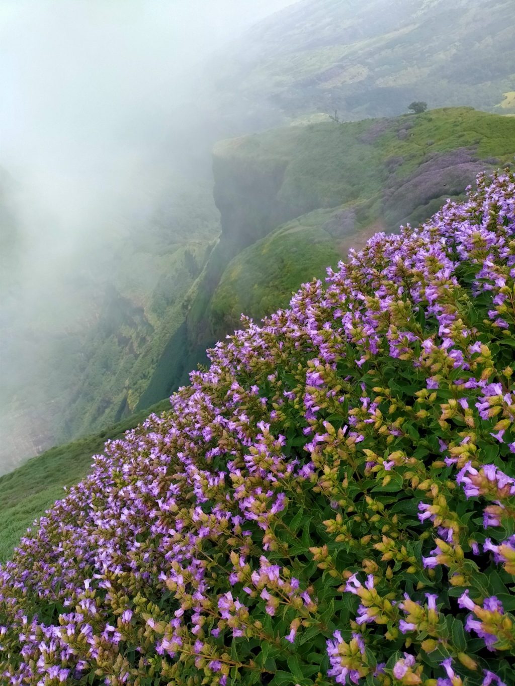 Finding God’s Plans in Community&nbsp;Grief